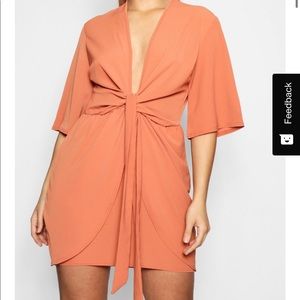 Deep Plunge Dress